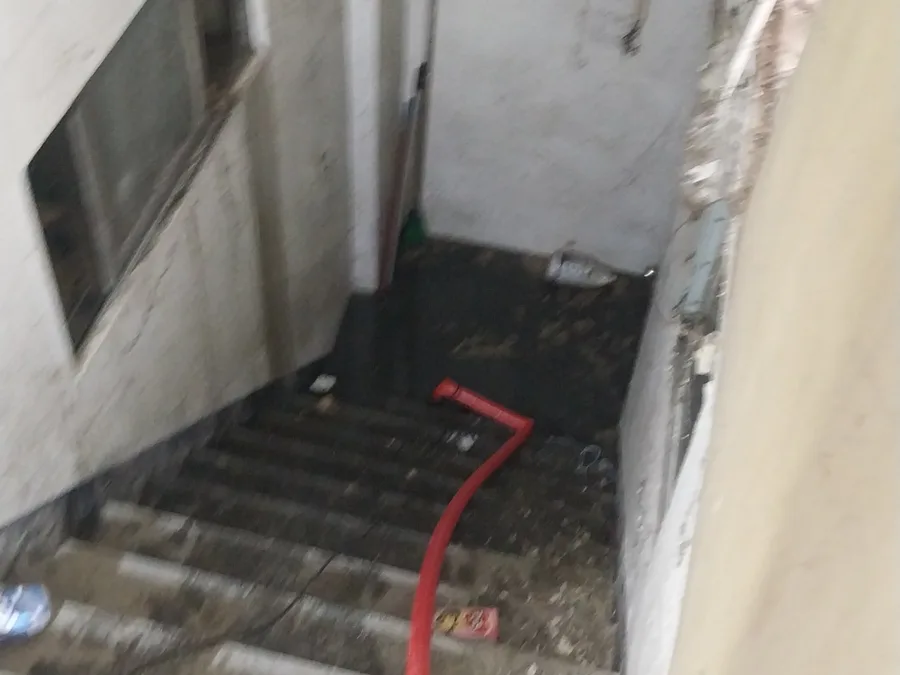 서울 동북권 반지하 계단까지 차오른 역류 오수